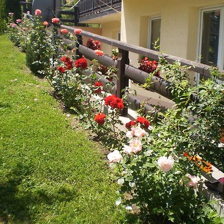 Apartments Vila Velickovic Zlatibor Dış mekan fotoğraf