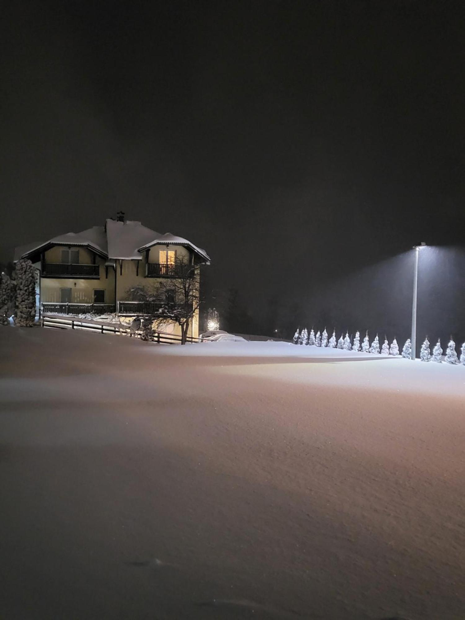 Apartments Vila Velickovic Zlatibor Dış mekan fotoğraf