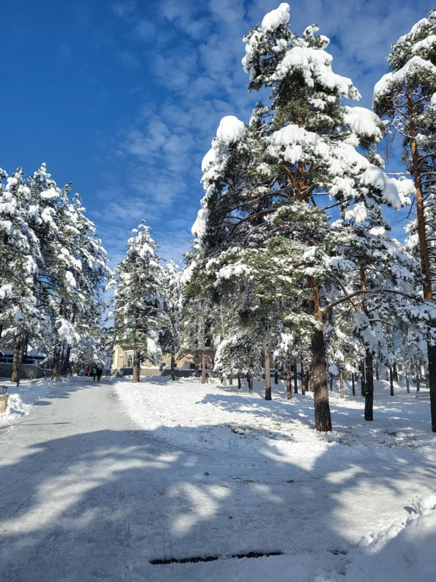 Apartments Vila Velickovic Zlatibor Dış mekan fotoğraf