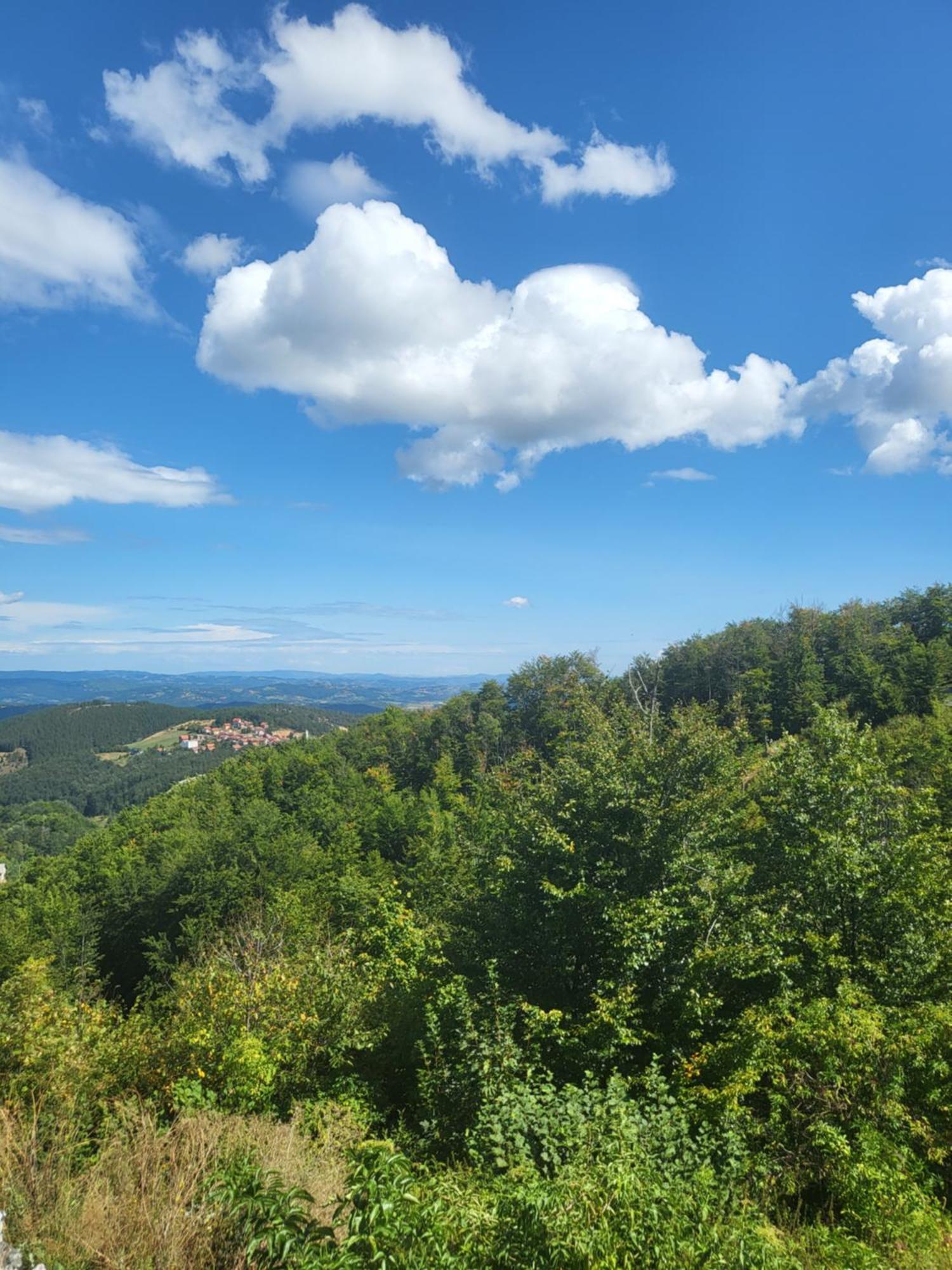 Apartments Vila Velickovic Zlatibor Dış mekan fotoğraf