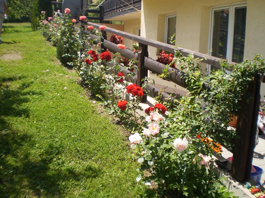 Apartments Vila Velickovic Zlatibor Dış mekan fotoğraf