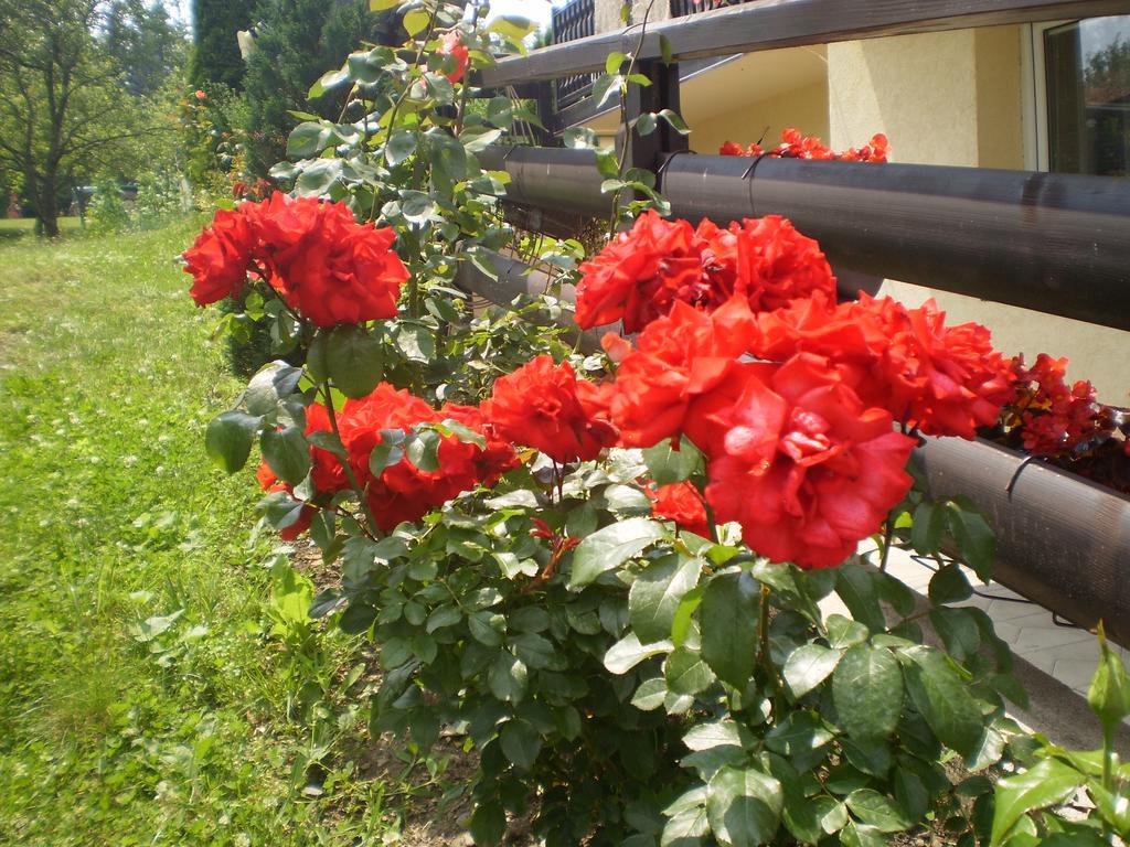 Apartments Vila Velickovic Zlatibor Dış mekan fotoğraf