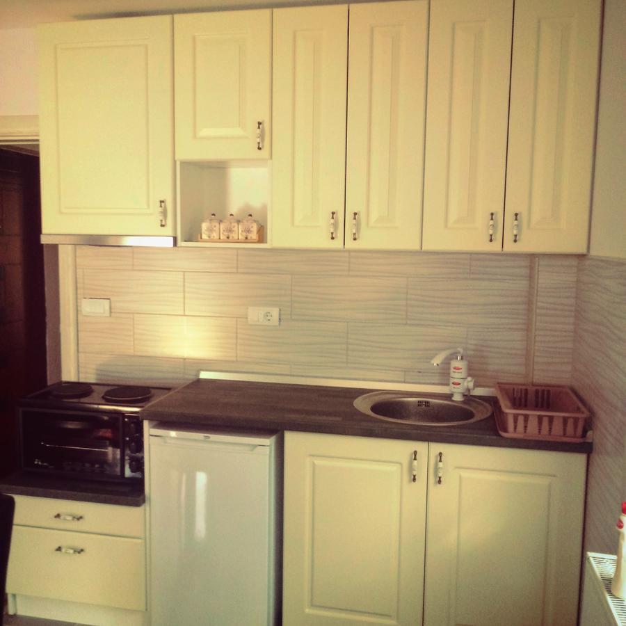 Apartments Vila Velickovic Zlatibor Dış mekan fotoğraf
