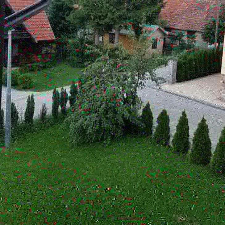 Apartments Vila Velickovic Zlatibor Dış mekan fotoğraf