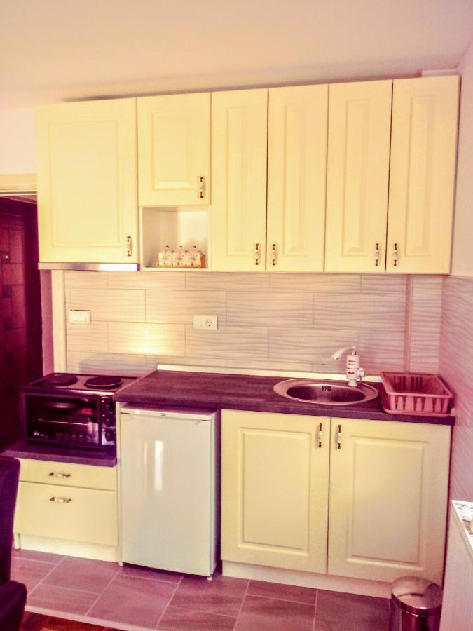 Apartments Vila Velickovic Zlatibor Dış mekan fotoğraf